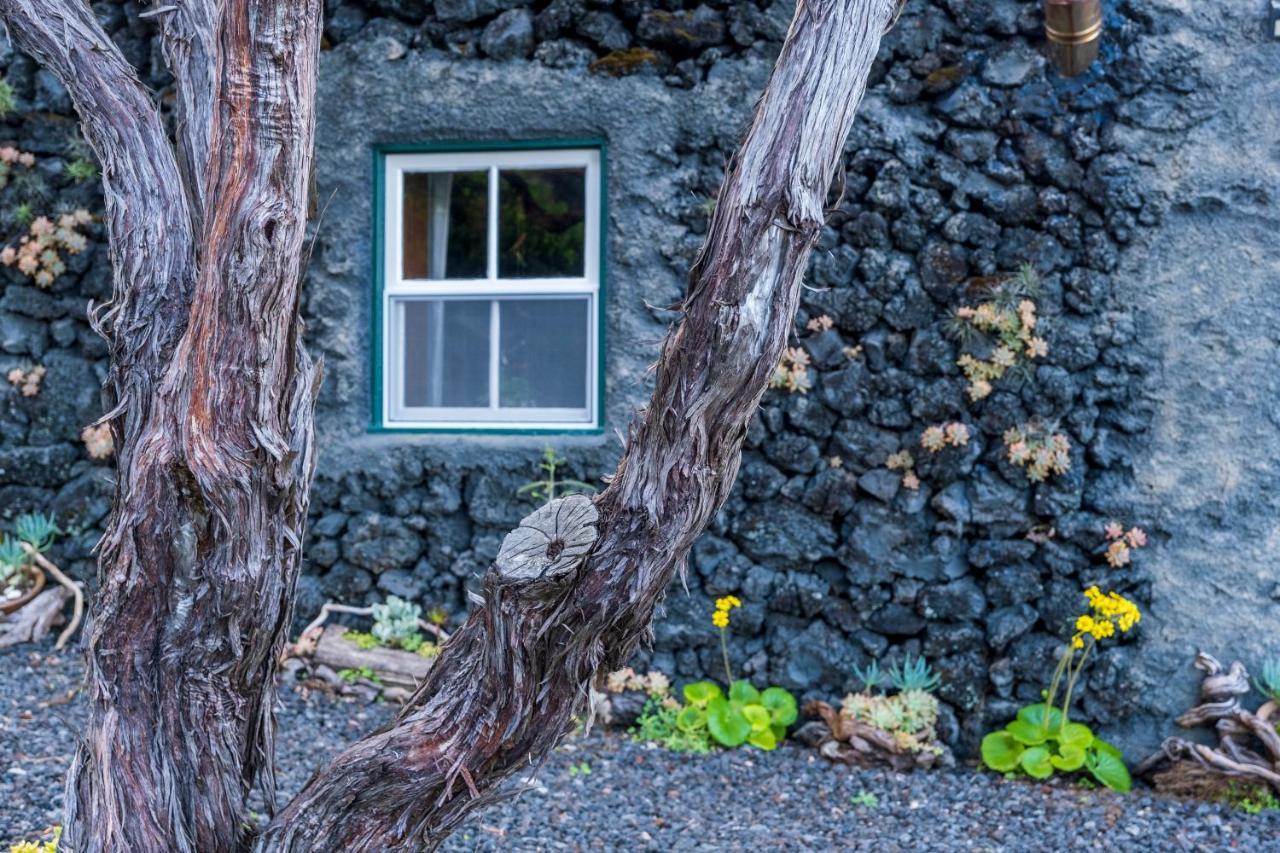 Casa Do Caramba - The Dream House Sao Roque do Pico