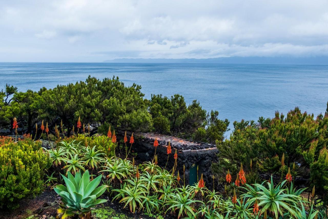 Casa Do Caramba - The Dream House Holiday home